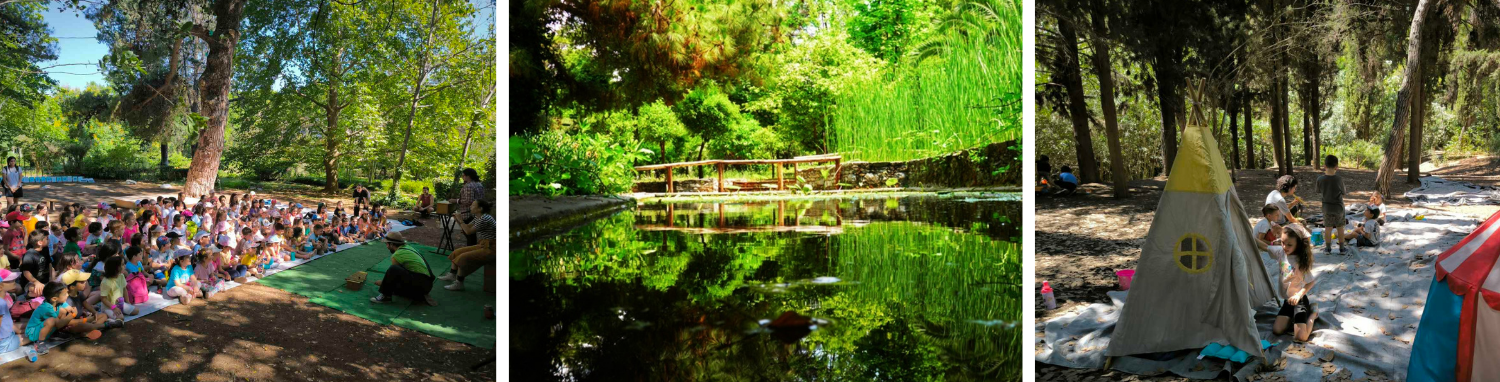 Βοτανικός Κήπος Διομήδους